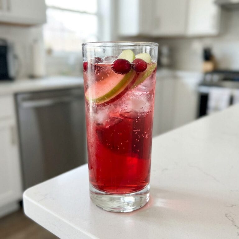 Apple Cranberry Punch Mocktail Recipe