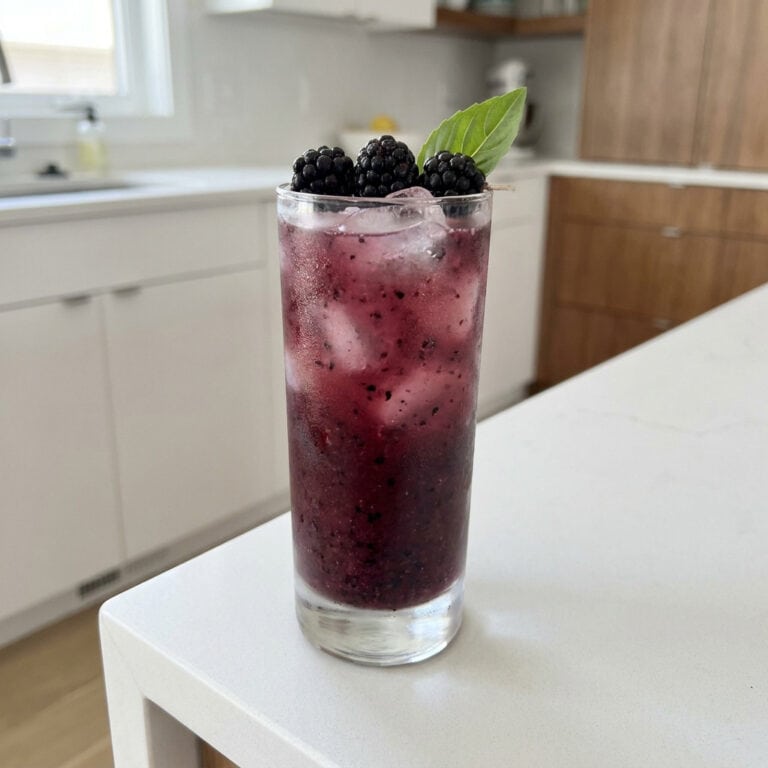 Blackberry Basil Limeade Mocktail Recipe