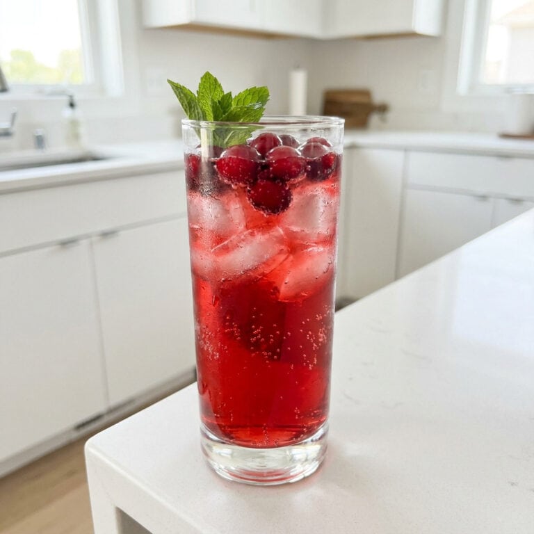 Cranberry Ginger Ale Mocktail Recipe