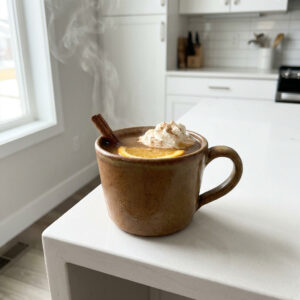 Hot Apple Cider with Rum Cocktail Recipe