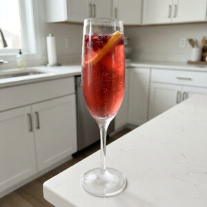 Pomegranate Champagne Punch Cocktail Recipe