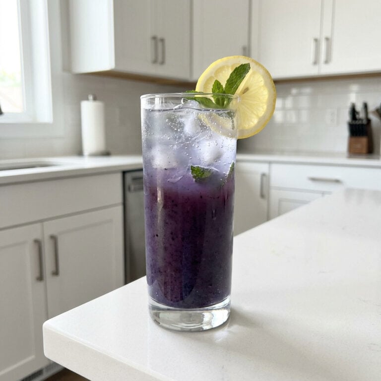 Blueberry Lemonade Zing Mocktail Recipe