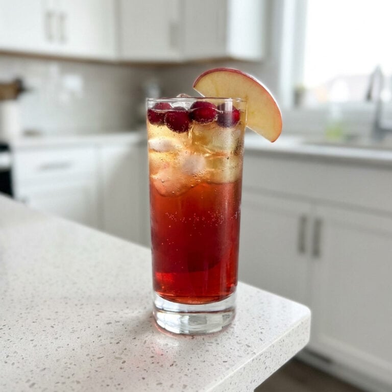 Cranberry Apple Refresher Mocktail Recipe