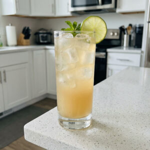 Ginger Tequila Punch Cocktail Recipe