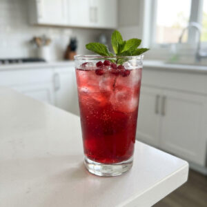 Pomegranate Mint Fizz Mocktail Recipe
