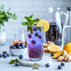 Blueberry Ginger Sparkler Mocktail Recipe