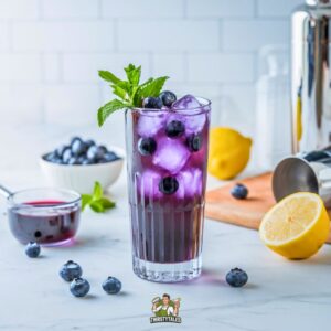 Blueberry Vodka Lemonade Cocktail Recipe