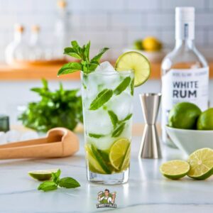 Mojito Cocktail Recipe