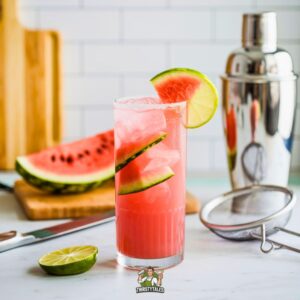 Watermelon Tequila Fizz Cocktail Recipe