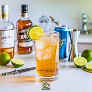 Whiskey & Ginger Ale Cocktail Recipe
