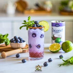 Coconut Blueberry Smash Mocktail Recipe