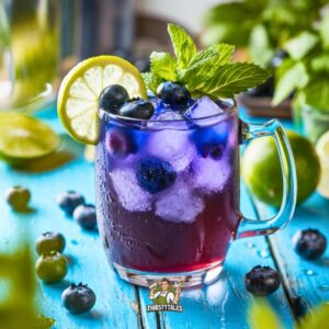 Blueberry Moscow Mule Cocktail Recipe