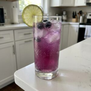 Blueberry Tequila Spritzer Cocktail Recipe
