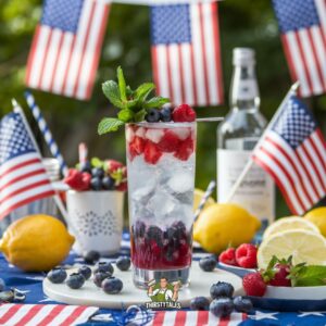 Red, White, and Blueberry Fizz Cocktail Recipe