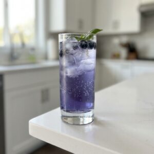 Blueberry Basil Spritzer Mocktail Recipe