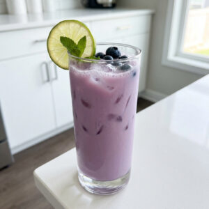 Blueberry Coconut Cooler Mocktail Recipe