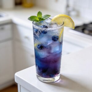 Blueberry Ginger Ale Mocktail Recipe