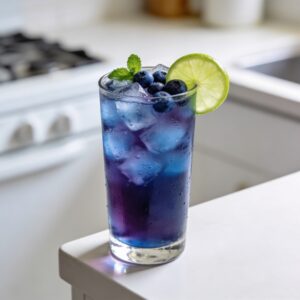 Blueberry Limeade Mocktail Recipe