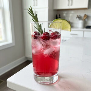 Cranberry Gin and Tonic Cocktail Recipe