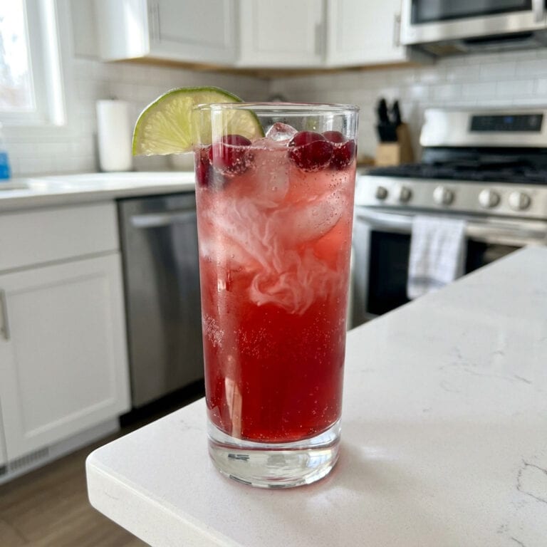 Coconut Cranberry Fizz Cocktail Recipe