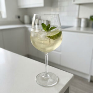 Elderflower And Prosecco Spritz Cocktail Recipe
