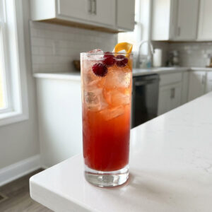 Orange Cranberry Gin Fizz Cocktail Recipe