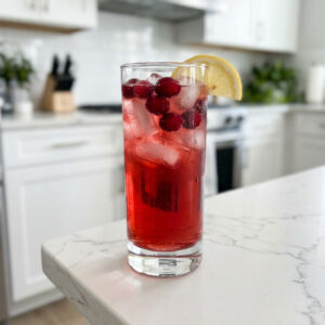 Winter Citrus Vodka Punch Cocktail Recipe