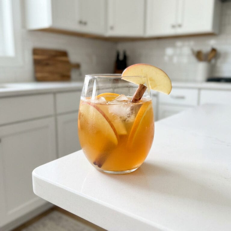 Cinnamon Apple Cider Punch Cocktail Recipe