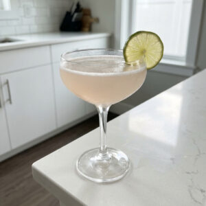 White Cranberry Elderflower Cocktail Recipe